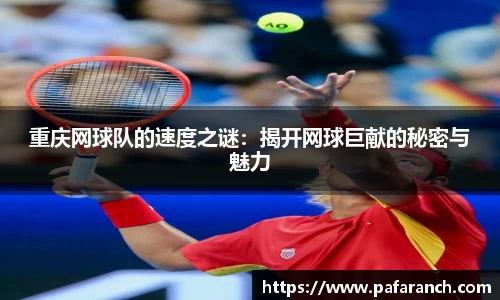 yy易游体育官网