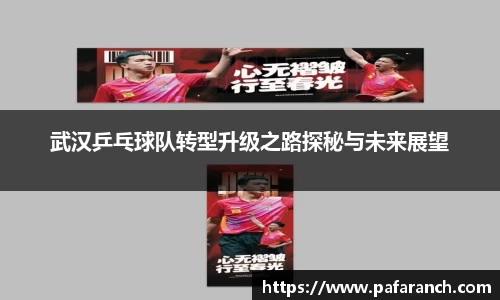 米乐YY易游