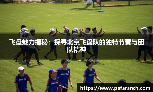 yy易游体育