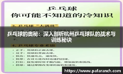 乒乓球的奥秘：深入剖析杭州乒乓球队的战术与训练秘诀