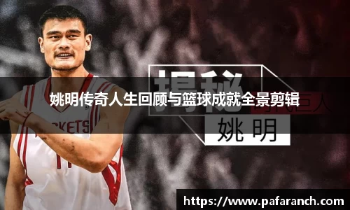 yy易游体育官网