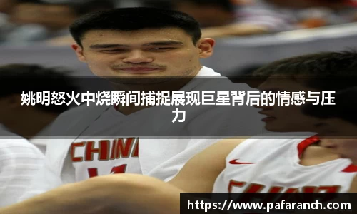 yy易游体育官网