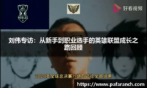 yy易游mile
