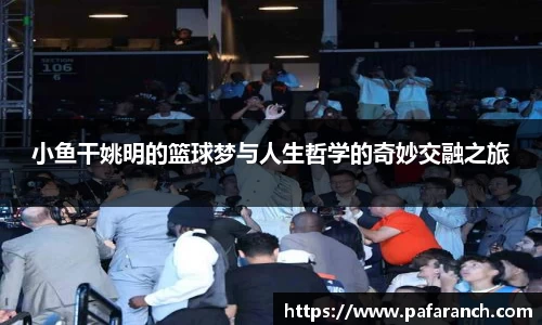 yy易游体育官网
