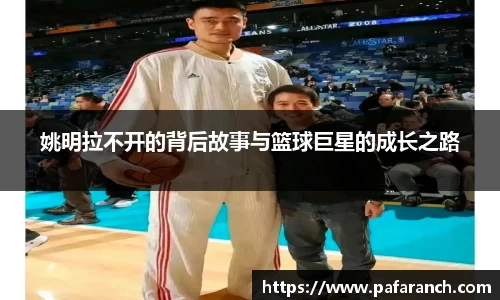 米乐YY易游