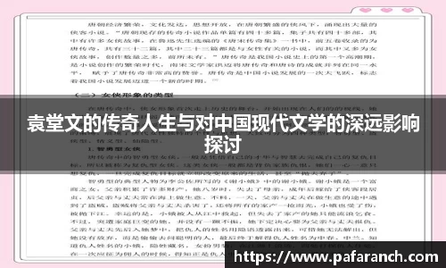 袁堂文的传奇人生与对中国现代文学的深远影响探讨